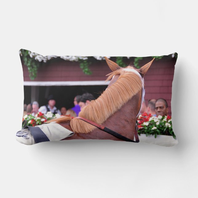 Het Flaxen "Alle inbegrepen" Kussen (Voorkant)