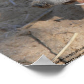 Het Fluffernotter-Collectie - Eeten Poster (Hoek)