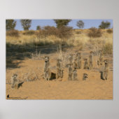 Het Fluffernutter Collectie - Familie Poster (Voorkant)