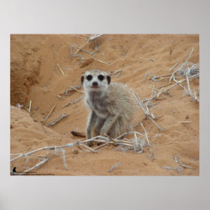 Het Fluffernutter-Collectie - glimlachen Poster