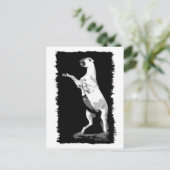 Het fokken van Andalusië Stallion Briefkaart (Staand voorkant)