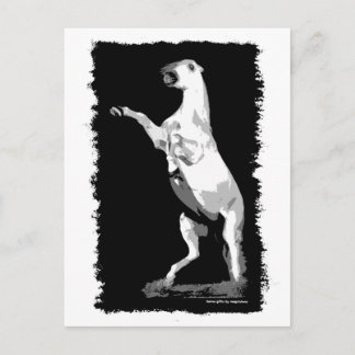 Het fokken van Andalusië Stallion Briefkaart