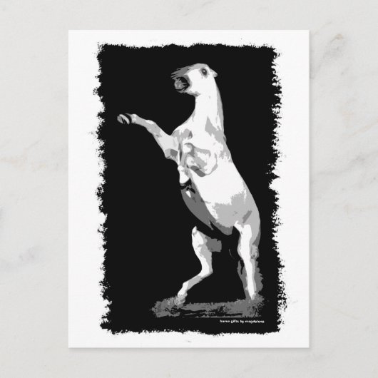 Het fokken van Andalusië Stallion Briefkaart (Voorkant)