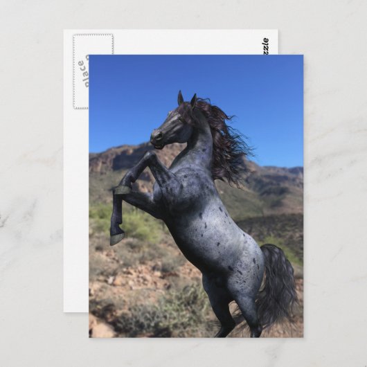 Het fokken van Blue Roan Horse in het Briefkaart (Voorkant / Achterkant)