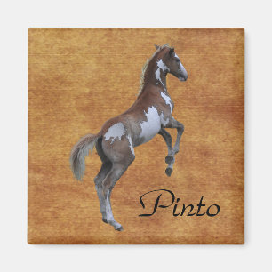 Het fokken van Pinto-Pony-paardenliefhebbers Magneet