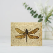 Het Fossiele Briefkaart van de libel (Staand voorkant)