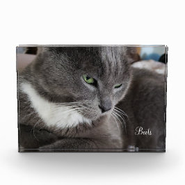 Het fotoblok van je huisdier