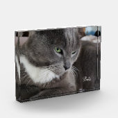 Het fotoblok van je huisdier (Links)