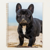 Het Franse Bulldog Spelen in de zand Planner (Voorkant)