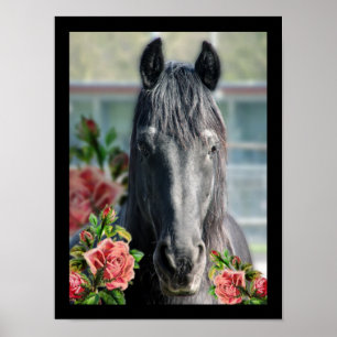 Het Friesiaanse portret Poster