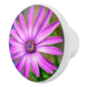 Het gaat over mij Daisy keramische knop (Rechts)