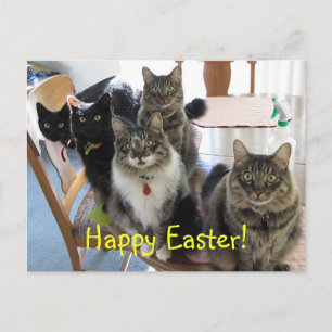 Het Gang Happy Easter Briefkaart