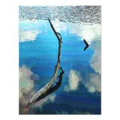 HET GEBIED FOTO AFDRUK (Voorkant)