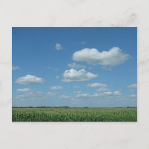 Het Gebied Graan van het Noord- van Dakota Briefkaart