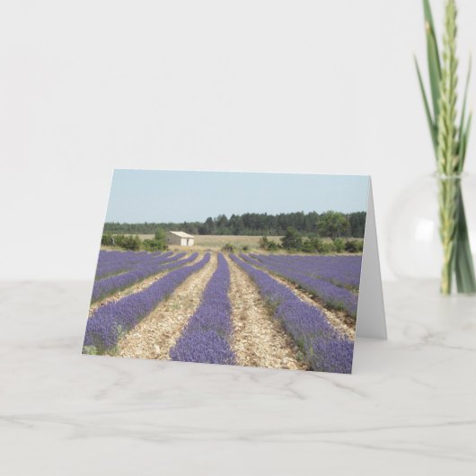 Het Gebied van de lavendel in de Provence Kaart (Voorkant)