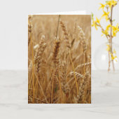 Het Gebied van de tarwe Kaart (Gele Bloem)