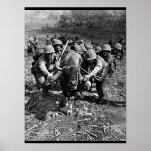 Het gebruiken van elk beschikbaar middelen_Oorlogs Poster