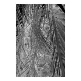 Het gefluister van de tropen perfect poster