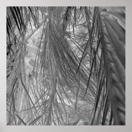 Het gefluister van de tropen poster