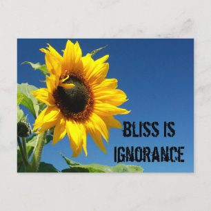 Het geheim van geluk is complete onwetendheid briefkaart
