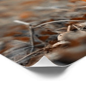 Het geheime bosfeest van het eekhoorn Ai afbeeldin Perfect Poster (Hoek)