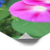 HET GEHEUGEN VAN DE MORNINGSPLAATS POSTER (Hoek)