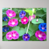 HET GEHEUGEN VAN DE MORNINGSPLAATS POSTER (Voorkant)