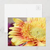 Het gele Bloem en Briefkaart van Druppeltjes (Voorkant / Achterkant)