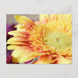 Het gele Bloem en Briefkaart van Druppeltjes