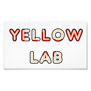 het gele laboratorium Canadees-Vlag in naam Foto Afdruk