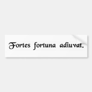Het geluk is met de dapperen. bumpersticker