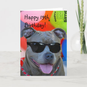 Het gelukkige 19de wenskaart van Pitbull van de Kaart