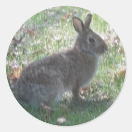 Het gelukkige konijn ronde sticker