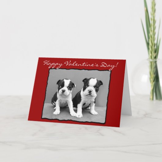 Het gelukkige Wenskaart van Boston Terrier van de Feestdagen Kaart (Voorkant)