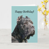 Het gelukkige wenskaart van Corso van het Riet Kaart (Gele Bloem)