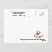 Het Georgia Aquarium - Briefkaart (Achterkant)