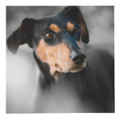 Het gepersonaliseerde Gedenkteken van de Hond Kubus (Rechts)