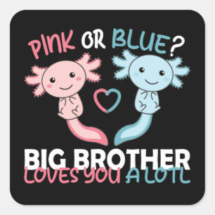 het geslacht onthult roze of blauwe broer houdt va vierkante sticker