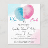 Het geslacht van de begroting openbaart de partij (Voorkant)