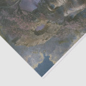 Het gezicht in Cliff Decoupage Tissuepapier (Detail)