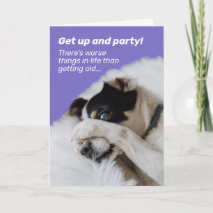 Het gezicht van de hond - er is nog veel erger kaart