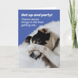 Het gezicht van de hond - er is nog veel erger kaart