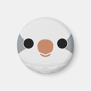 Het gezicht van een Grey Monk Parkiet Magneet