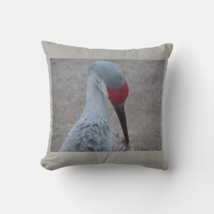 Het gezicht van een Sand Hill Crane Kussen
