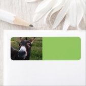 Het glimlachen Donkey Label (Insitu)