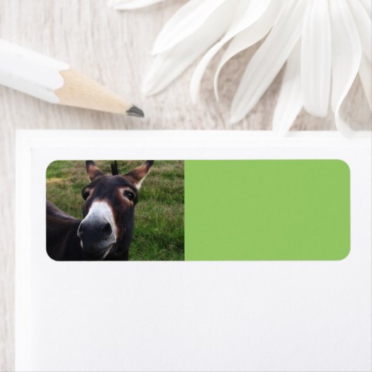 Het glimlachen Donkey Label (Insitu)