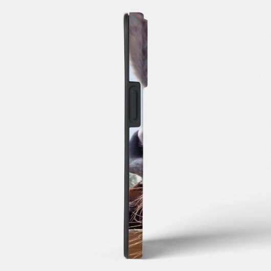 Het glimlachen Donkey met Gekke Grin Case-Mate iPhone Case (Achterkant / Rechts)