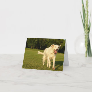 Het glimlachen Engel Kaart