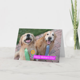 Het glimlachen Golden Retrievers Wearing Stropdass Kaart