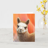 Het Glimlachen van de alpaca de Kaarten van de (Gele Bloem)
